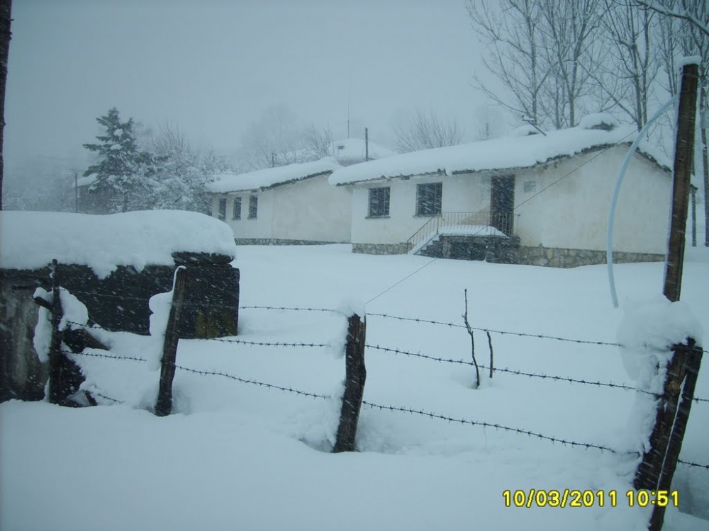 Düzce Aynalı Köyü Resimleri 3