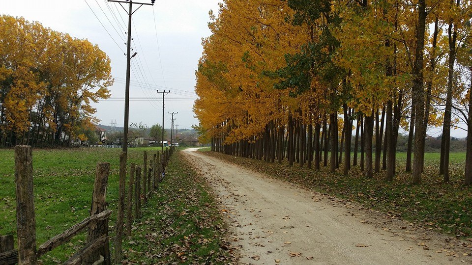 Düzce Aynalı Köyü Resimleri 4