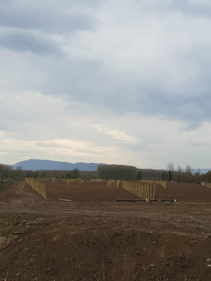 Düzce Bataklıçiftlik Köyü Resimleri 2