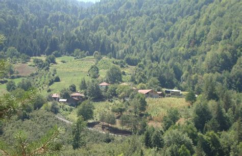 Düzce Beslambey Köyü Resimleri 4