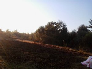 Düzce Büyükaçma Köyü Resimleri 2