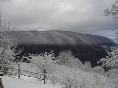 Düzce Çınardüzü Köyü Resimleri 1