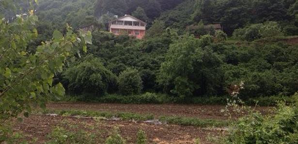 Düzce Çınardüzü Köyü Resimleri 2