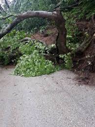 Düzce Çınardüzü Köyü Resimleri 3