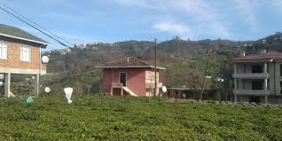 Düzce Dağdibi Köyü Resimleri 5