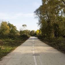 Düzce Darıcı Köyü Resimleri 3