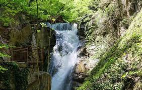 Düzce Darıcı Köyü Resimleri 4