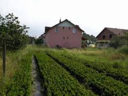 Düzce Darıcı Köyü Resimleri 5