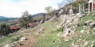 Düzce Dedeler Köyü Resimleri 2