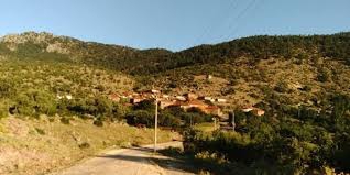 Düzce Dedeler Köyü Resimleri 3