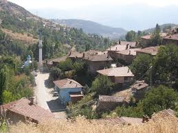 Düzce Dedeler Köyü Resimleri 5