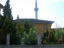 Düzce Dedeler Köyü Resimleri 7