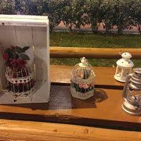 Düzce Değirmenbaşı Köyü Resimleri 1