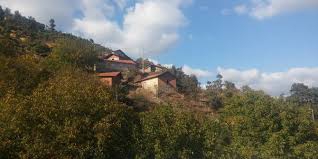 Düzce Değirmenbaşı Köyü Resimleri 4