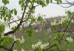 Düzce Değirmenbaşı Köyü Resimleri 8