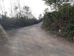 Düzce Duraklar Köyü Resimleri 1