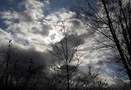 Düzce Duraklar Köyü Resimleri 2