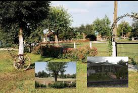 Düzce Duraklar Köyü Resimleri 3