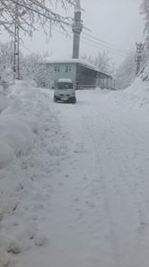 Düzce Düverdüzü Köyü Resimleri 1