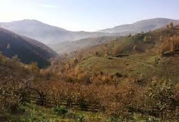 Düzce Düverdüzü Köyü Resimleri 10