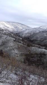 Düzce Düverdüzü Köyü Resimleri 12