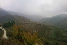 Düzce Düverdüzü Köyü Resimleri 14