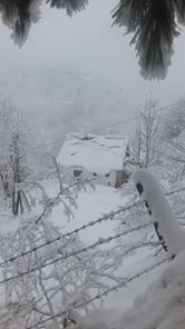 Düzce Düverdüzü Köyü Resimleri 2