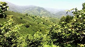 Düzce Düverdüzü Köyü Resimleri 3