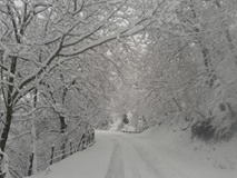 Düzce Düverdüzü Köyü Resimleri 4