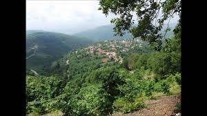 Düzce Düverdüzü Köyü Resimleri 8