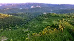 Düzce Eminaçma Köyü Resimleri 6