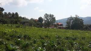 Düzce Esentepe Köyü Resimleri 3