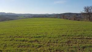 Düzce Fevziye Köyü Resimleri 2