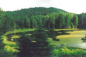 Düzce Fındıklıaksu Köyü Resimleri 6