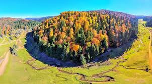 Düzce Gülormanı Köyü Resimleri 10