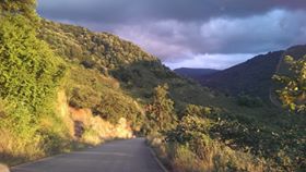 Düzce Gülormanı Köyü Resimleri 4
