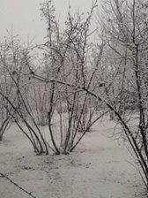 Düzce Gülormanı Köyü Resimleri 5