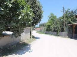 Düzce Gümüşpınar Köyü Resimleri 2