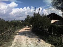 Düzce Gümüşpınar Köyü Resimleri 5