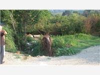 Düzce Güven Köyü Resimleri 4