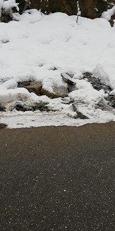 Düzce Hatipliketenciler Köyü Resimleri 1