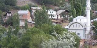 Düzce Hocaoğlu Köyü Resimleri 4