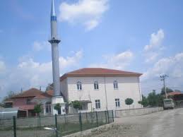 Düzce Hocaoğlu Köyü Resimleri 5