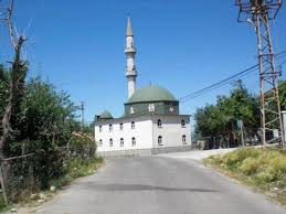 Düzce Hocaoğlu Köyü Resimleri 6