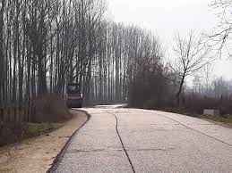 Düzce Hocaoğlu Köyü Resimleri 7