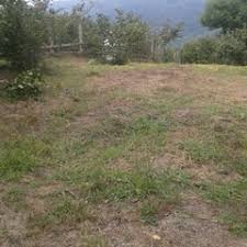 Düzce İslahiye Köyü Resimleri 5