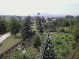 Düzce İstilli Köyü Resimleri 4