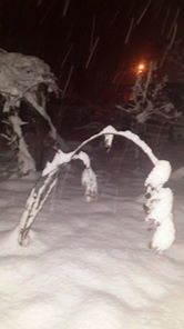 Düzce Kadıoğlu Köyü Resimleri 1