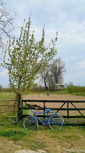 Düzce Kadıoğlu Köyü Resimleri 2