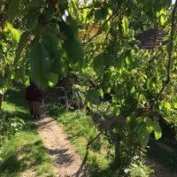 Düzce Kavakbıçkı Köyü Resimleri 3